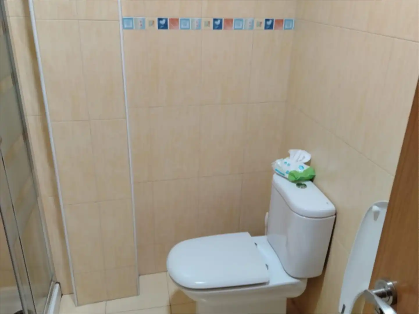 Bathroom of Flat for rent in Argamasilla de Alba  with Heating and Furnished