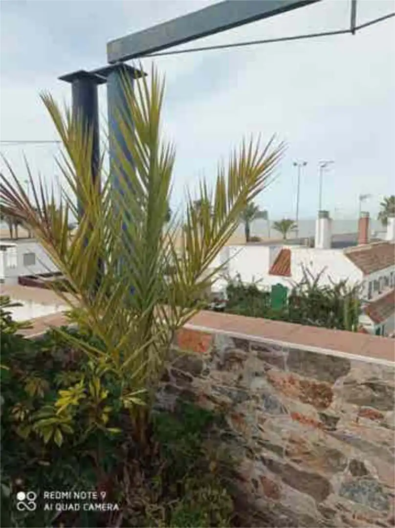 Terrace of Houses for sale in Sanlúcar de Barrameda  with Terrace and Swimming Pool