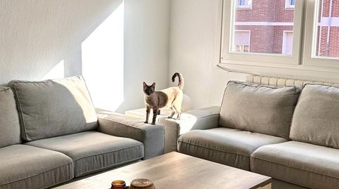 Foto 2 de Habitación en Tellaetxe Margolariaren Kalea, 12, San Ignacio - Elorrieta, Bilbao