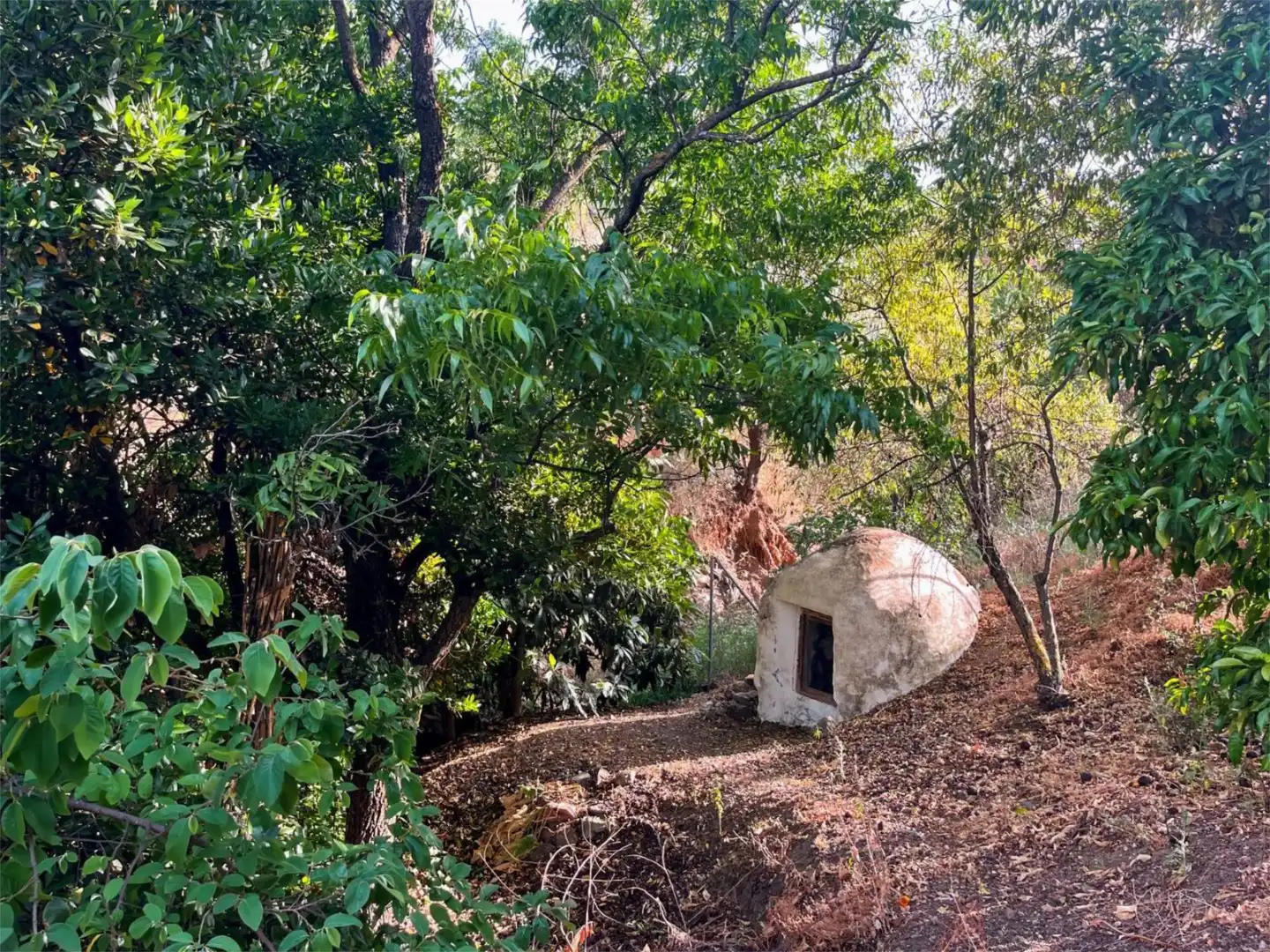 Country homes for sale in Calle Iglesia, 22, Comares Garden of Country homes for sale in Comares with Terrace
