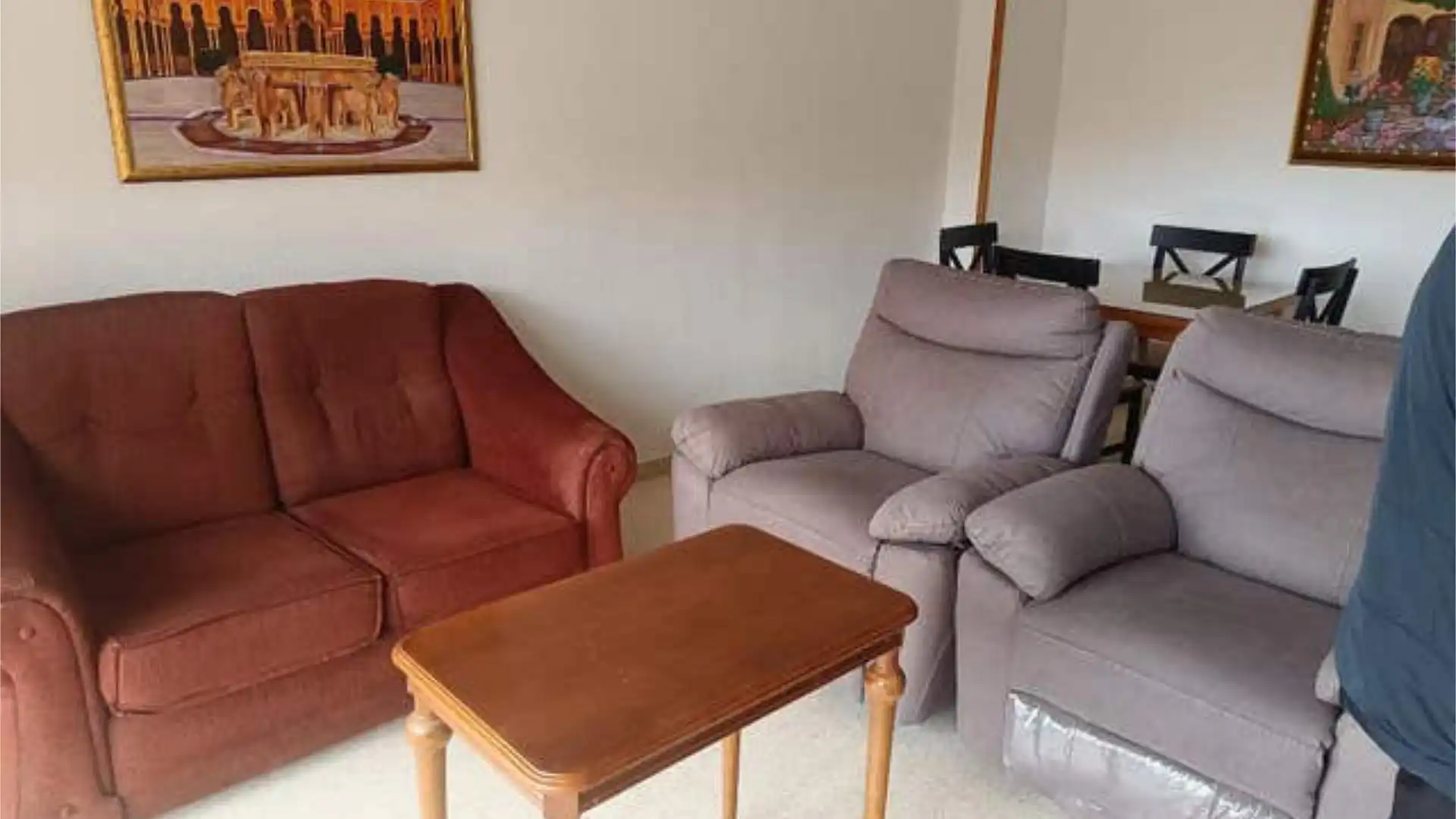 Sala de estar de Piso de alquiler en  Granada Capital con Jardín privado, Terraza y Amueblado