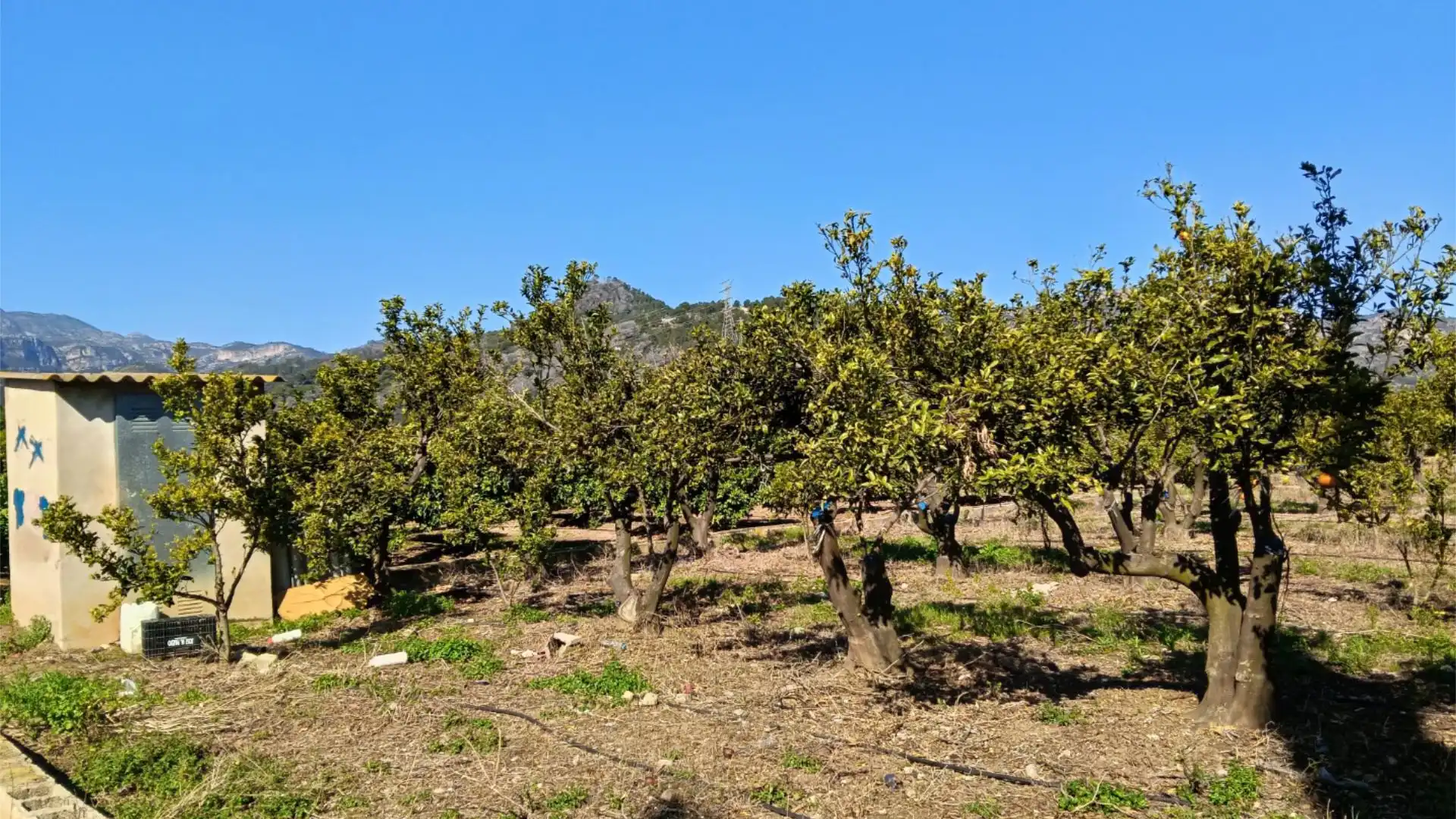 Terreno en venta en Partida Vinader, 1, Xeresa Terreno en venta en Xeresa