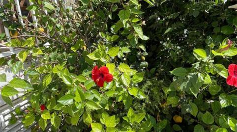 Photo 4 of Flat for sale in Carrer de Les Ones, 8, Prat de Vilanova, Vilanova i la Geltrú