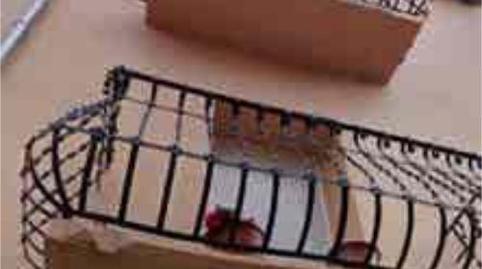 Photo 4 of Houses for sale in Banyoles, Girona