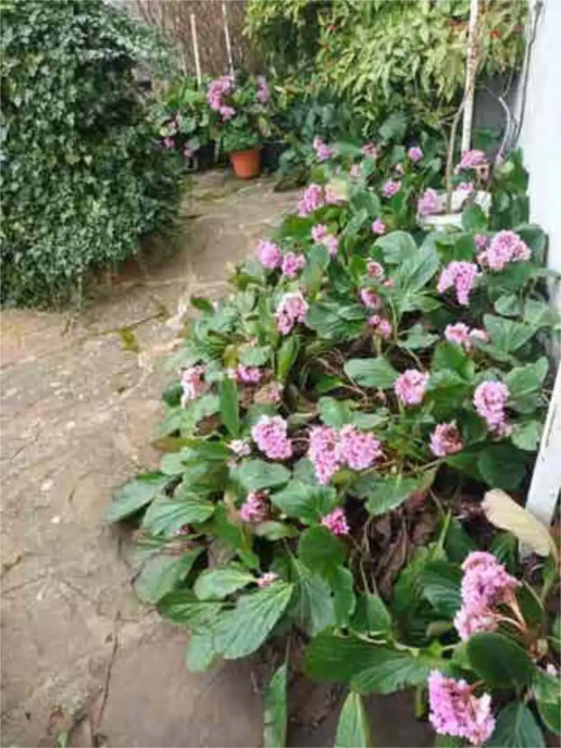 Detached homes for sale in Sant Hilari Sacalm Garden of Detached homes for sale in Sant Hilari Sacalm with Heating, Private garden and Terrace