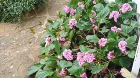 Photo 2 of Single-family semi-detached for sale in Sant Hilari Sacalm, Girona