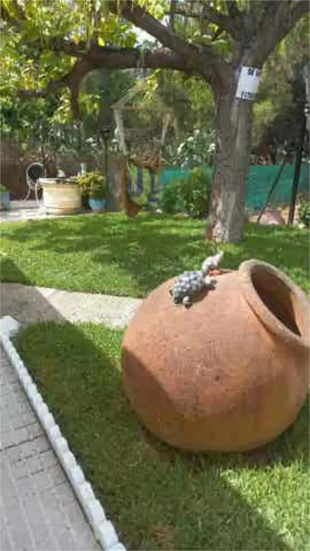 Garden of Detached homes for sale in Badajoz Capital  with Terrace and Swimming Pool
