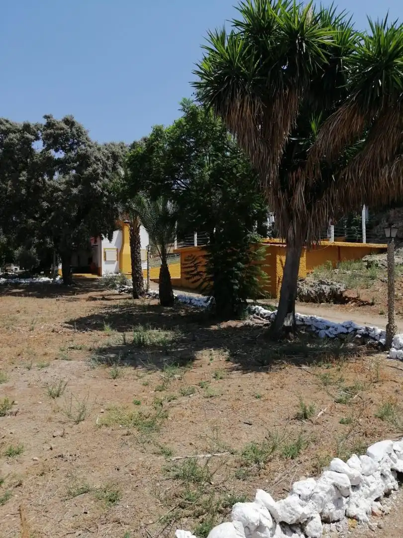 Country homes for sale in Desconocido A-431 de Cordoba a Lora del Rio, 17, Lora del Río Exterior view of Country homes for sale in Lora del Río with Air Conditioner, Terrace and Swimming Pool