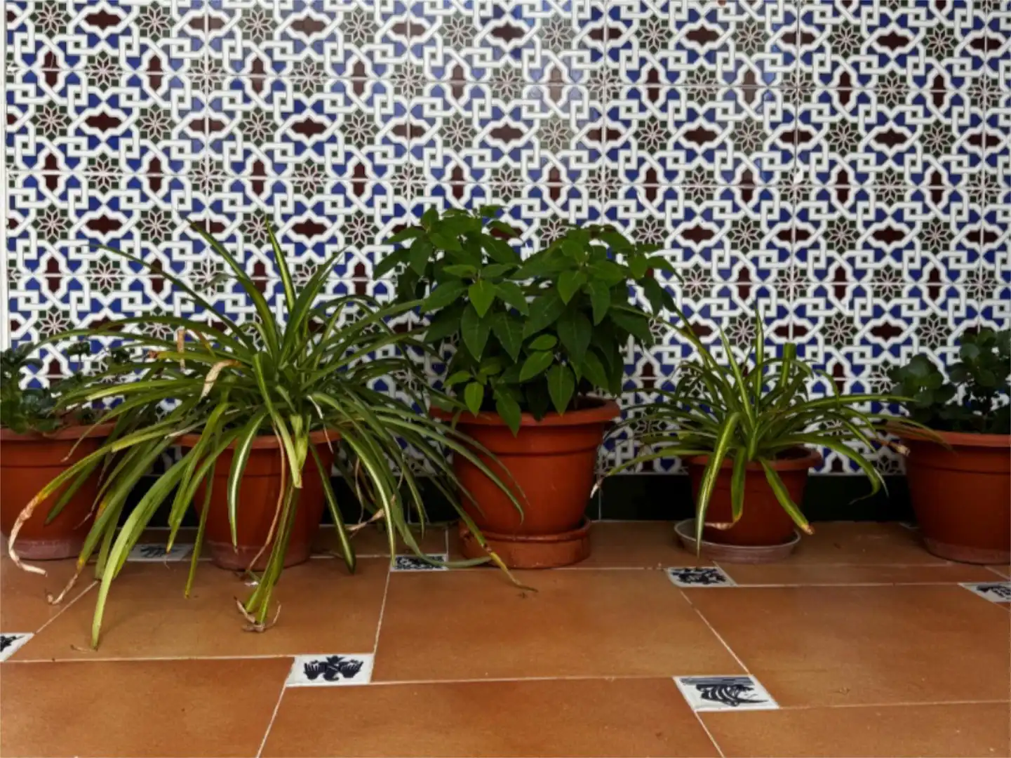 Jardín de Piso en venta en Jimena de la Frontera con Aire acondicionado, Calefacción y Terraza