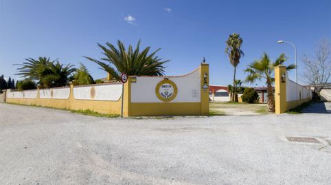 Foto 3 de Finca rústica en venta en Avenida Diputación, 8, Atarfe, Granada