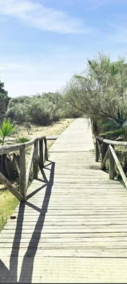 Piso de alquiler en Avenida Playas de Cartaya, 68, El Rompido Vista exterior de Piso de alquiler en El Rompido con Aire acondicionado, Terraza y Piscina
