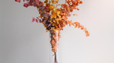 Foto 4 de Apartamento de alquiler en Calle Tejeras, 1, Garres y Lages,  Murcia Capital