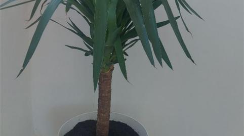 Foto 5 de Habitación en Carrer Isabel la Católica, 63, Montesol, L'Eliana