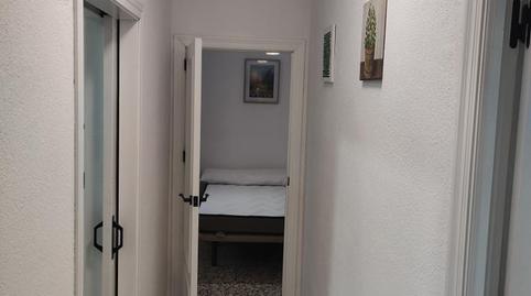 Flat for rent in Avenida Santa Ana, 72, Palma del Río, Córdoba - image 5 Photo 5 of Flat for rent in Avenida Santa Ana, 72, Palma del Río, Córdoba