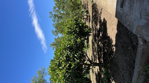 Photo 5 of Flat for sale in Street Carretera, 1, Ulldecona, Tarragona