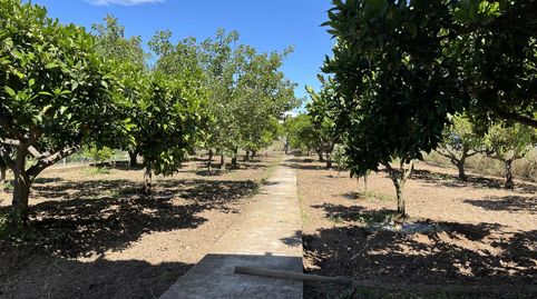 Photo 4 of Flat for sale in Street Carretera, 1, Ulldecona, Tarragona