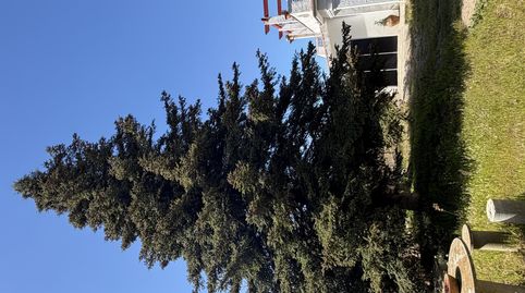 Photo 2 of Flat for sale in Street Carretera, 1, Ulldecona, Tarragona