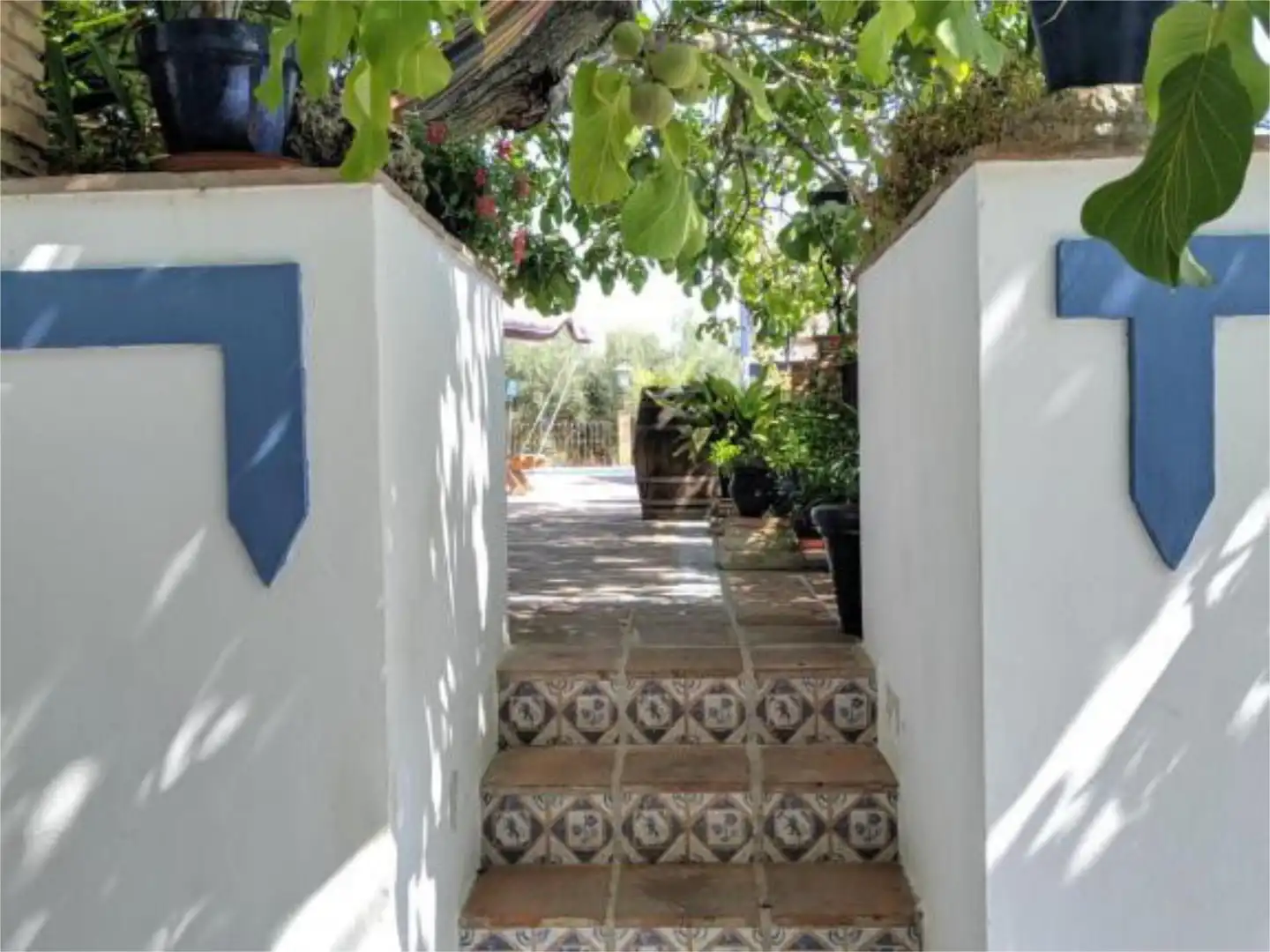 Casa o chalet en venta en Diseminado Diseminados, 242, Baena Vista exterior de Casa o chalet en venta en Baena con Jardín privado, Terraza y Trastero
