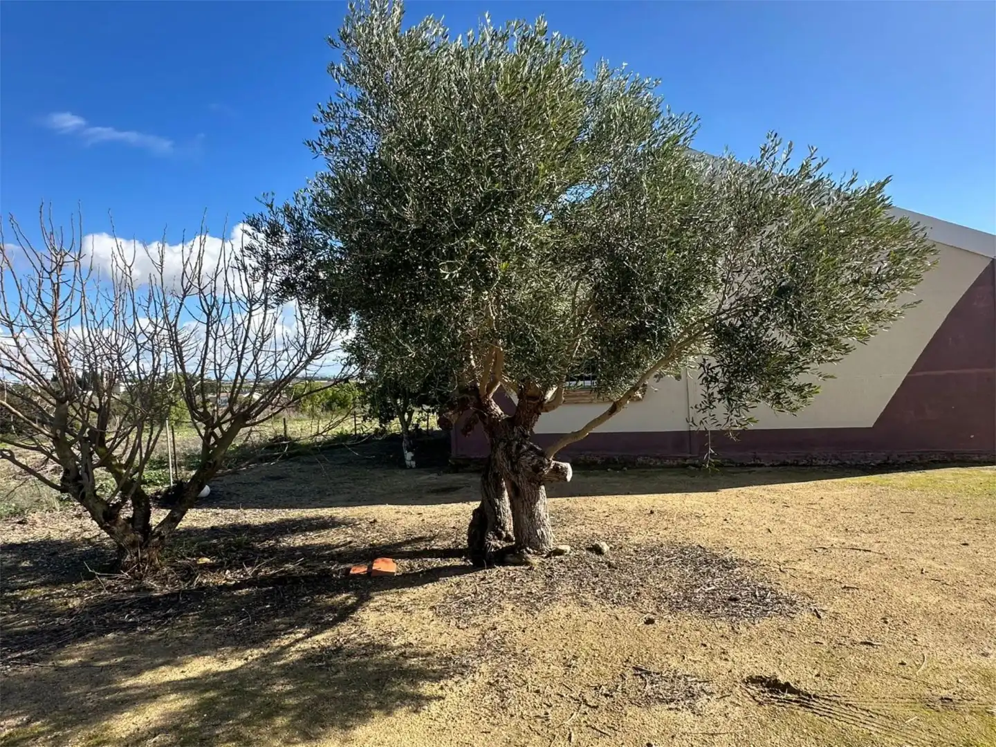 Wohnung zum Verkauf in Calle Martín Jiménez, 4, Núcleo urbano Garten von Wohnung zum Verkauf in Chiclana de la Frontera
