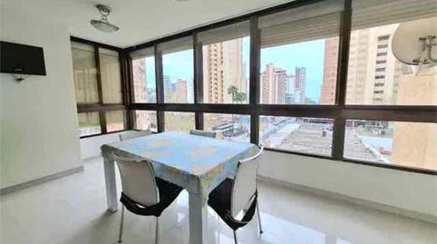 Photo 2 of Apartments for rent in Levante Alto, Benidorm