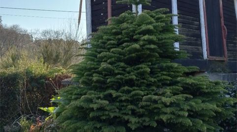 Foto 3 de Piso en venta en Lugar Martin, 6, Curtis, A Coruña