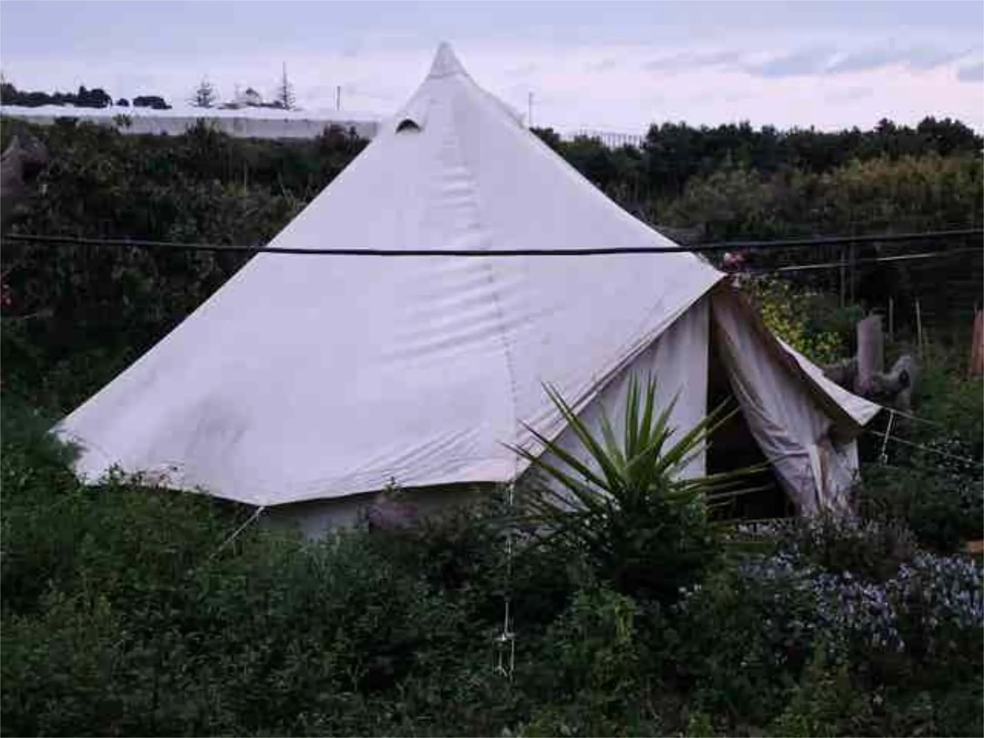 Jardín de Estudio para compartir en Algarrobo
