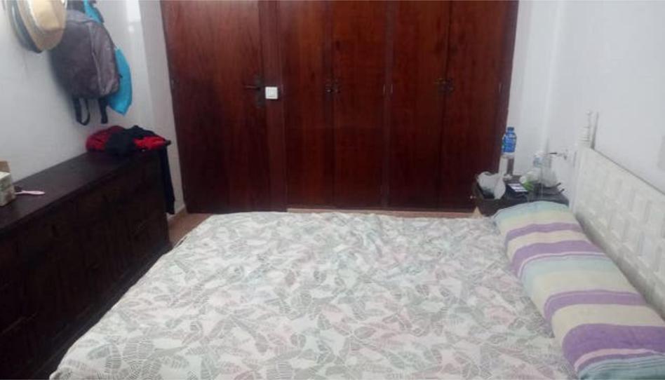 Apartament de lloguer a Port d'Alcúdia - Platja d'Alcúdia, Alcúdia - imatge 1 Foto 1 de Apartament de lloguer a Port d'Alcúdia - Platja d'Alcúdia, Alcúdia