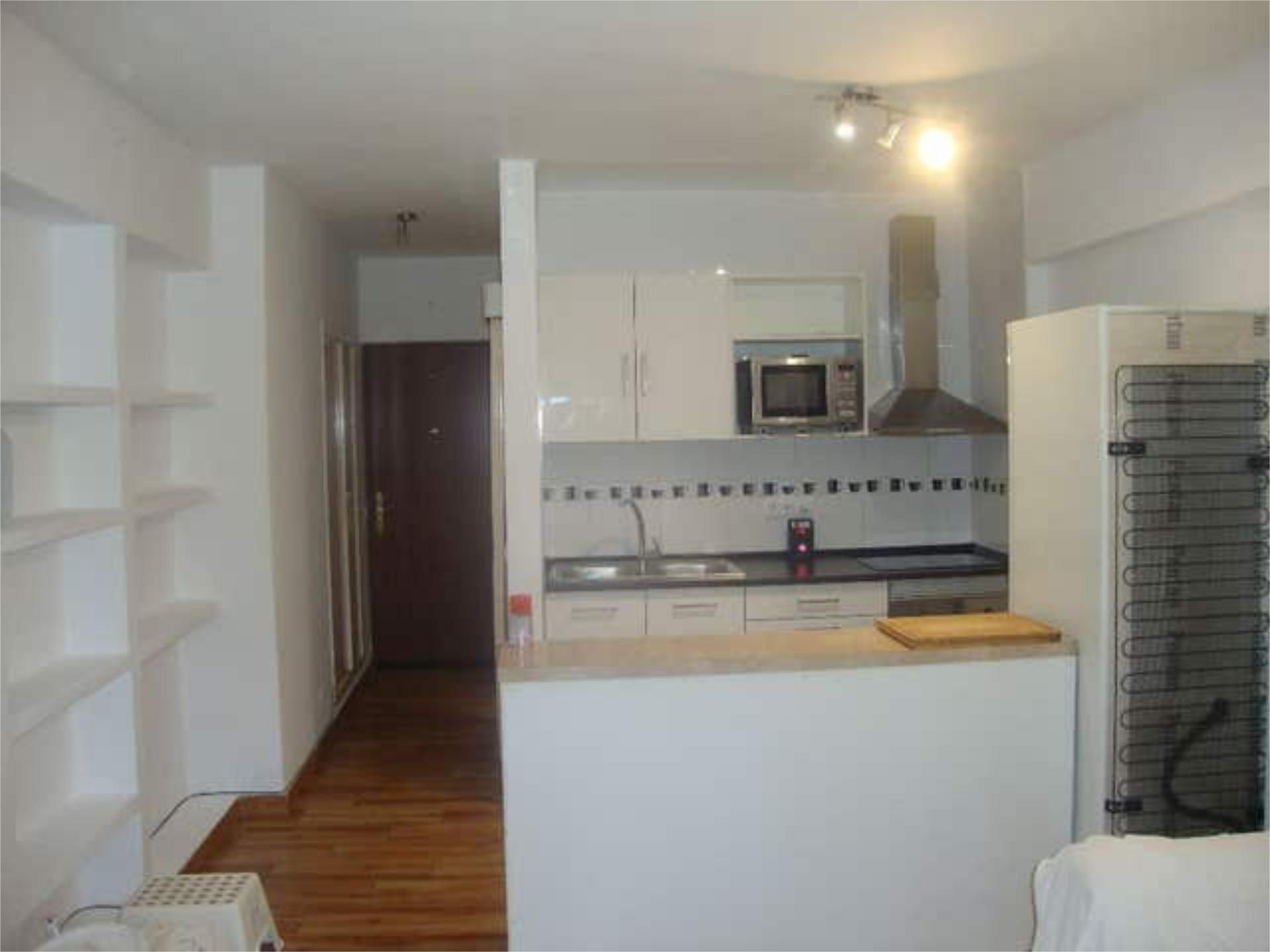 Cuina de Estudi de lloguer en Calvià amb Calefacció, Jardí privat i Piscina