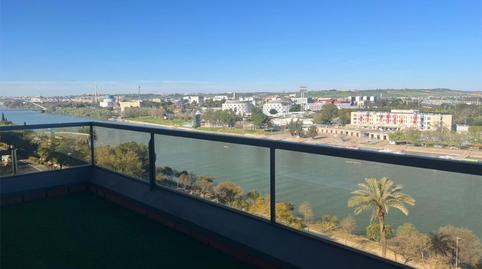 Piso de alquiler en Avenida Concejal Alberto Jiménez-becerril, 26, El Torrejón - El Cerezo, Sevilla Capital - imagen 3 Foto 3 de Piso de alquiler en Avenida Concejal Alberto Jiménez-becerril, 26, El Torrejón - El Cerezo, Sevilla Capital