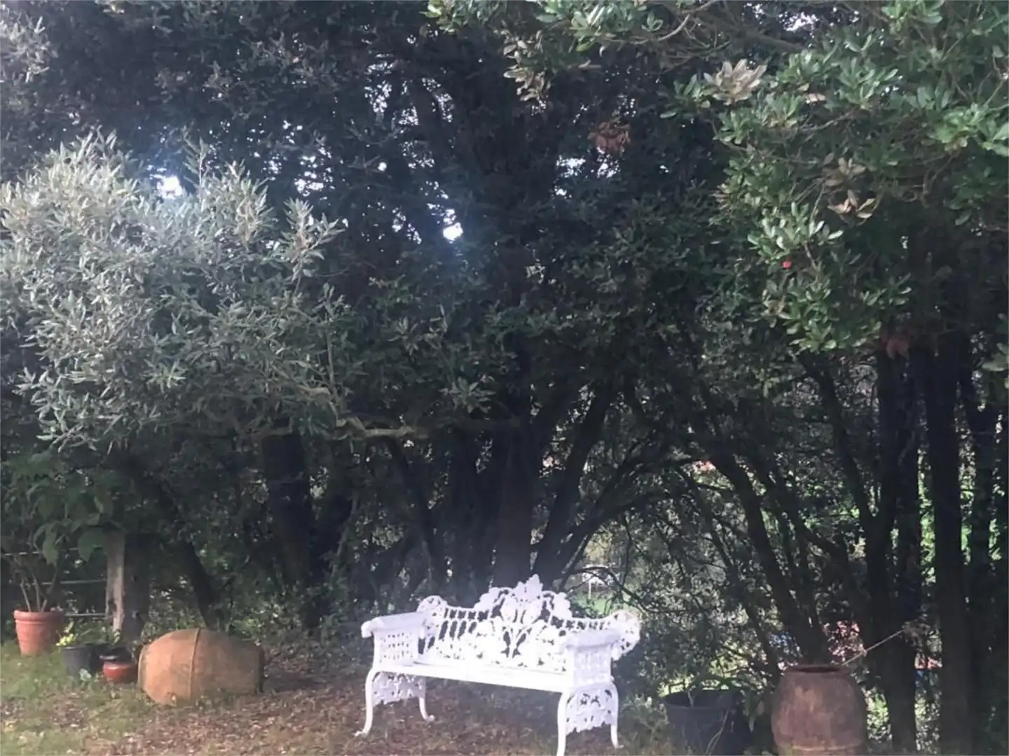 Casa o xalet en venda a Erbera Kalea, 12, Lemoiz Jardí de Casa o xalet en venda en Lemoiz amb Calefacció, Jardí privat i Terrassa