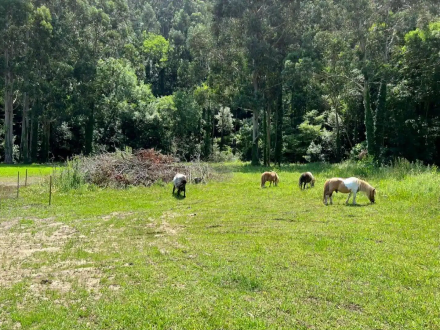 Casa o xalet en venda a Erbera Kalea, 12, Lemoiz Casa o xalet en venda en Lemoiz amb Calefacció, Jardí privat i Terrassa
