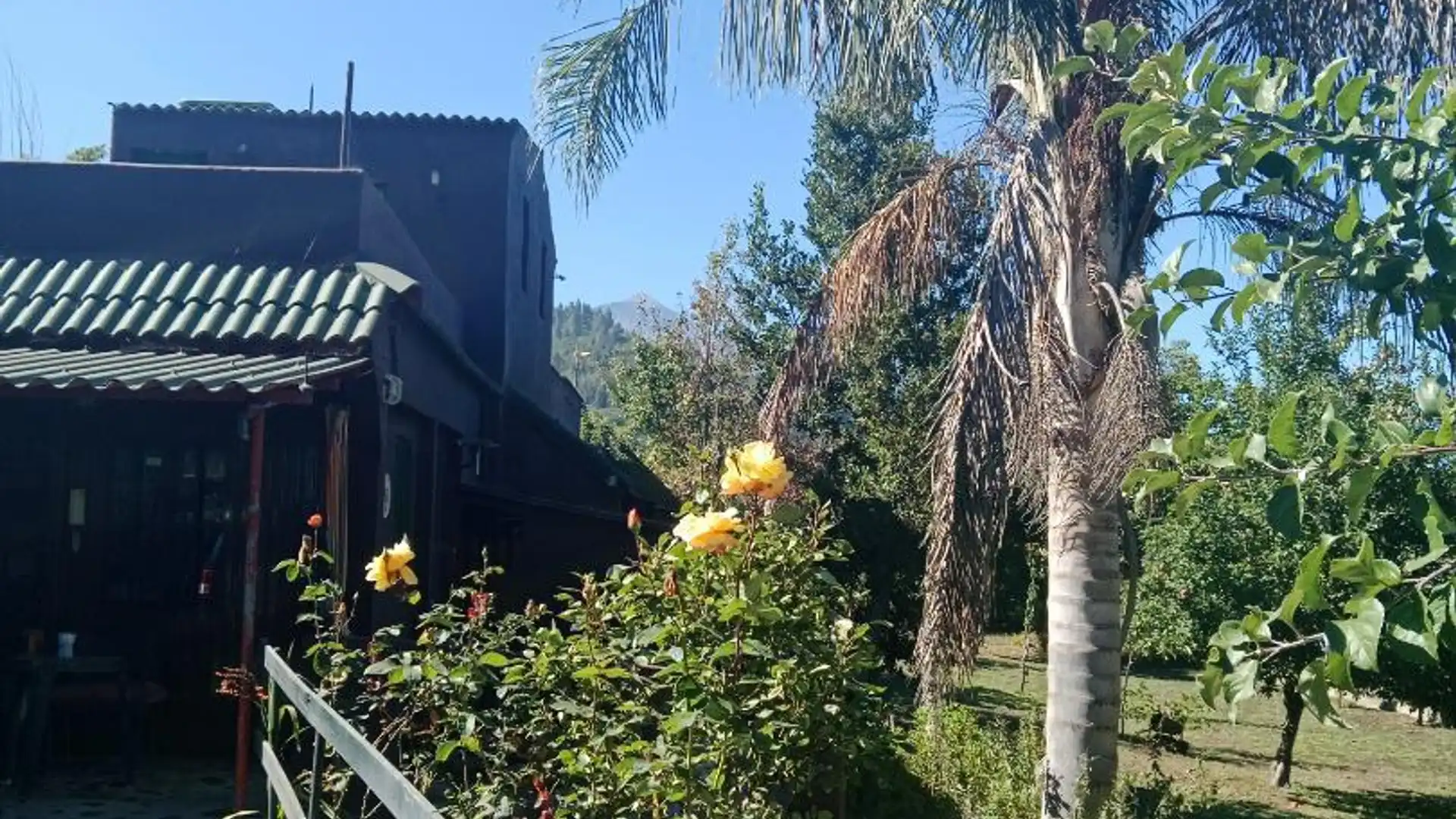 Jardín de Casa o chalet en venta en La Orotava con Calefacción, Jardín privado y Terraza