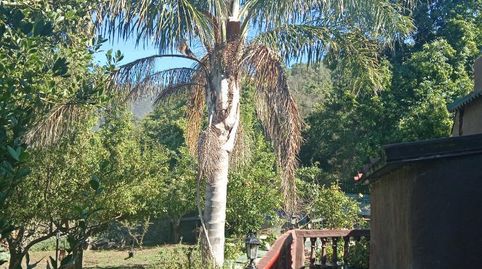 Foto 3 de Casa o chalet en venta en Lugar Mamio, 1, El Bebedero - Pinolere - Aguamansa, La Orotava