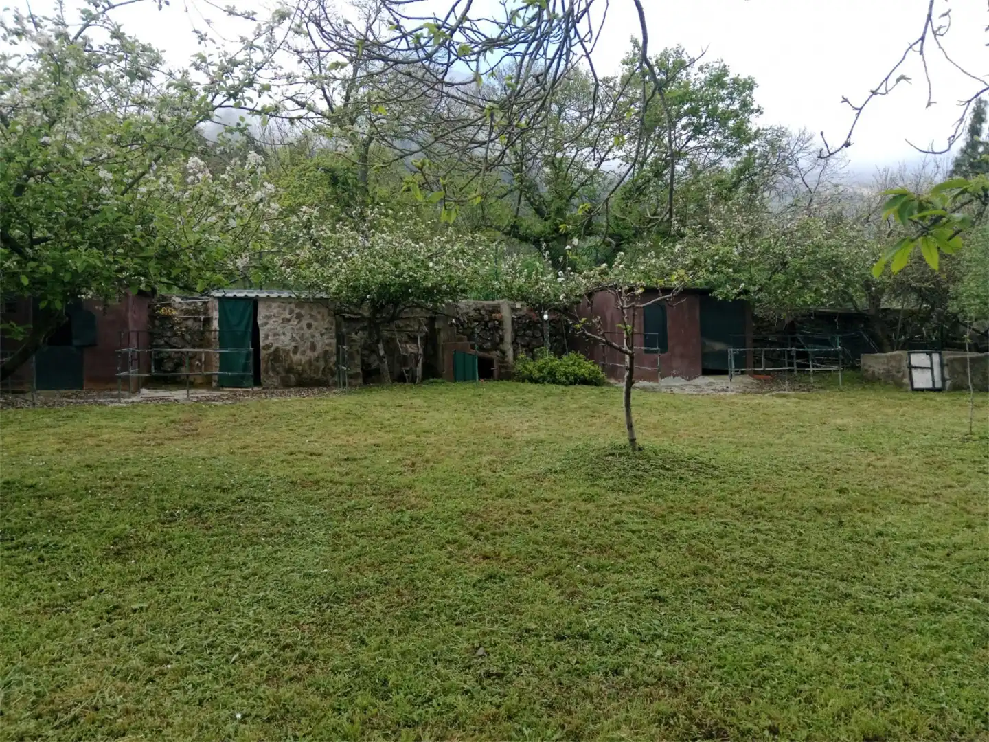Casa o chalet en venta en Lugar Mamio, 1, El Bebedero - Pinolere - Aguamansa Jardín de Casa o chalet en venta en La Orotava