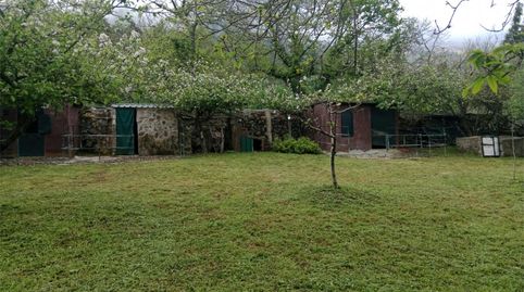 Casa o chalet en venta en Lugar Mamio, 1, El Bebedero - Pinolere - Aguamansa, La Orotava - imagen 4 Foto 4 de Casa o chalet en venta en Lugar Mamio, 1, El Bebedero - Pinolere - Aguamansa, La Orotava