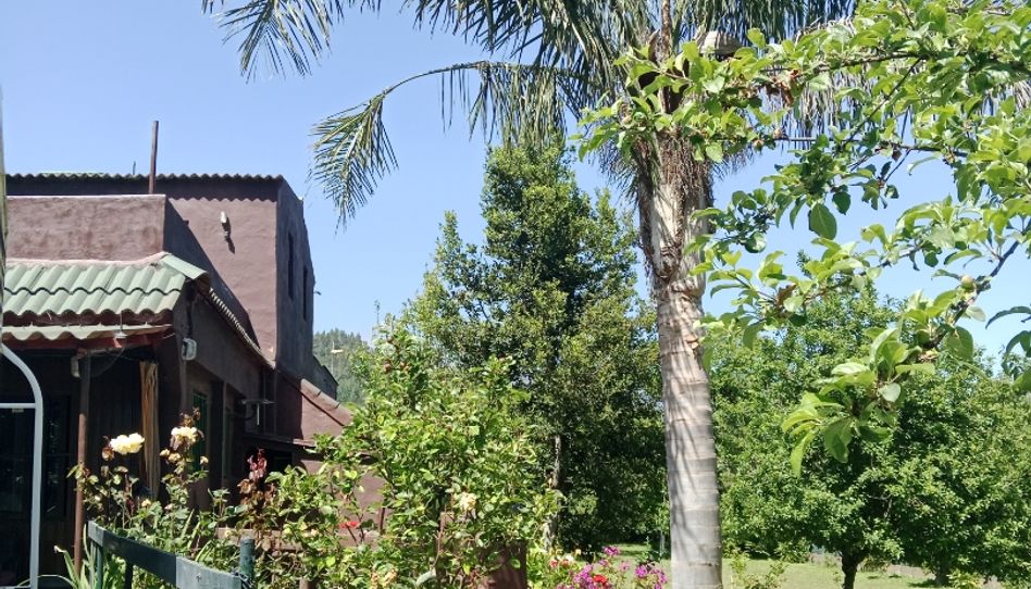 Casa o chalet en venta en Lugar Mamio, 1, El Bebedero - Pinolere - Aguamansa, La Orotava - imagen 1 Foto 1 de Casa o chalet en venta en Lugar Mamio, 1, El Bebedero - Pinolere - Aguamansa, La Orotava