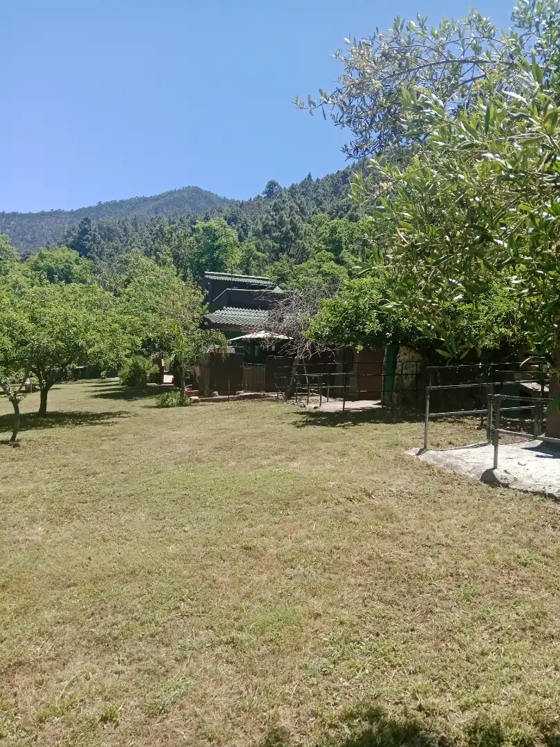 Casa o chalet en venta en Lugar Mamio, 1, El Bebedero - Pinolere - Aguamansa Vista exterior de Casa o chalet en venta en La Orotava