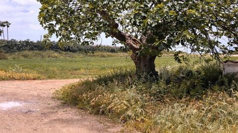 Foto 5 von Zimmer in Plaça Molins de Vent, 6, Sa Casa Blanca, Palma de Mallorca