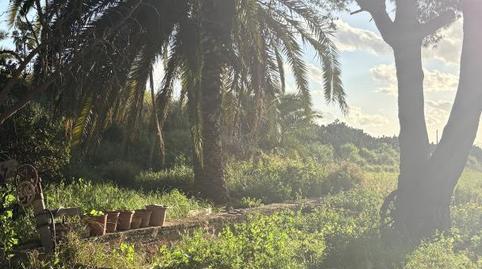 Foto 3 von Zimmer in Plaça Molins de Vent, 6, Sa Casa Blanca, Palma de Mallorca