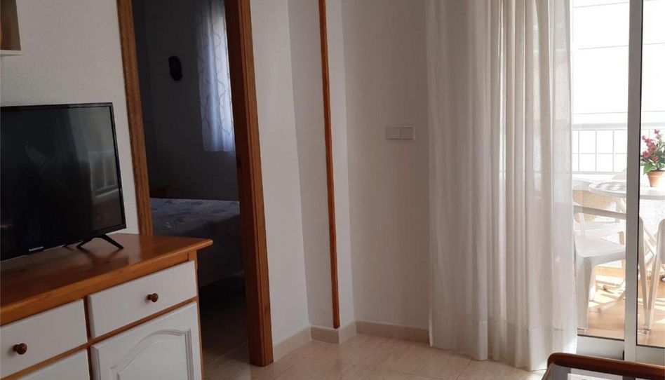 Piso de alquiler en Plaza Médico José María Sanz, 1, Las Viñas, Guardamar del Segura - imagen 1 Foto 1 de Piso de alquiler en Plaza Médico José María Sanz, 1, Las Viñas, Guardamar del Segura