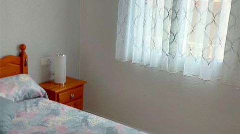 Piso de alquiler en Plaza Médico José María Sanz, 1, Las Viñas, Guardamar del Segura - imagen 3 Foto 3 de Piso de alquiler en Plaza Médico José María Sanz, 1, Las Viñas, Guardamar del Segura