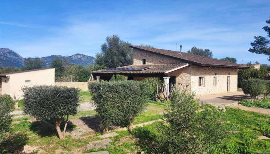 Finca rústica de alquiler en Selva, Illes Balears - imagen 1 Foto 1 de Finca rústica de alquiler en Selva, Illes Balears