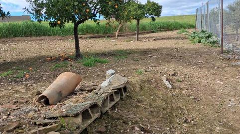 Foto 5 de Planta baixa en venda a Calle Villanueva, 38, Orellana la Vieja, Badajoz