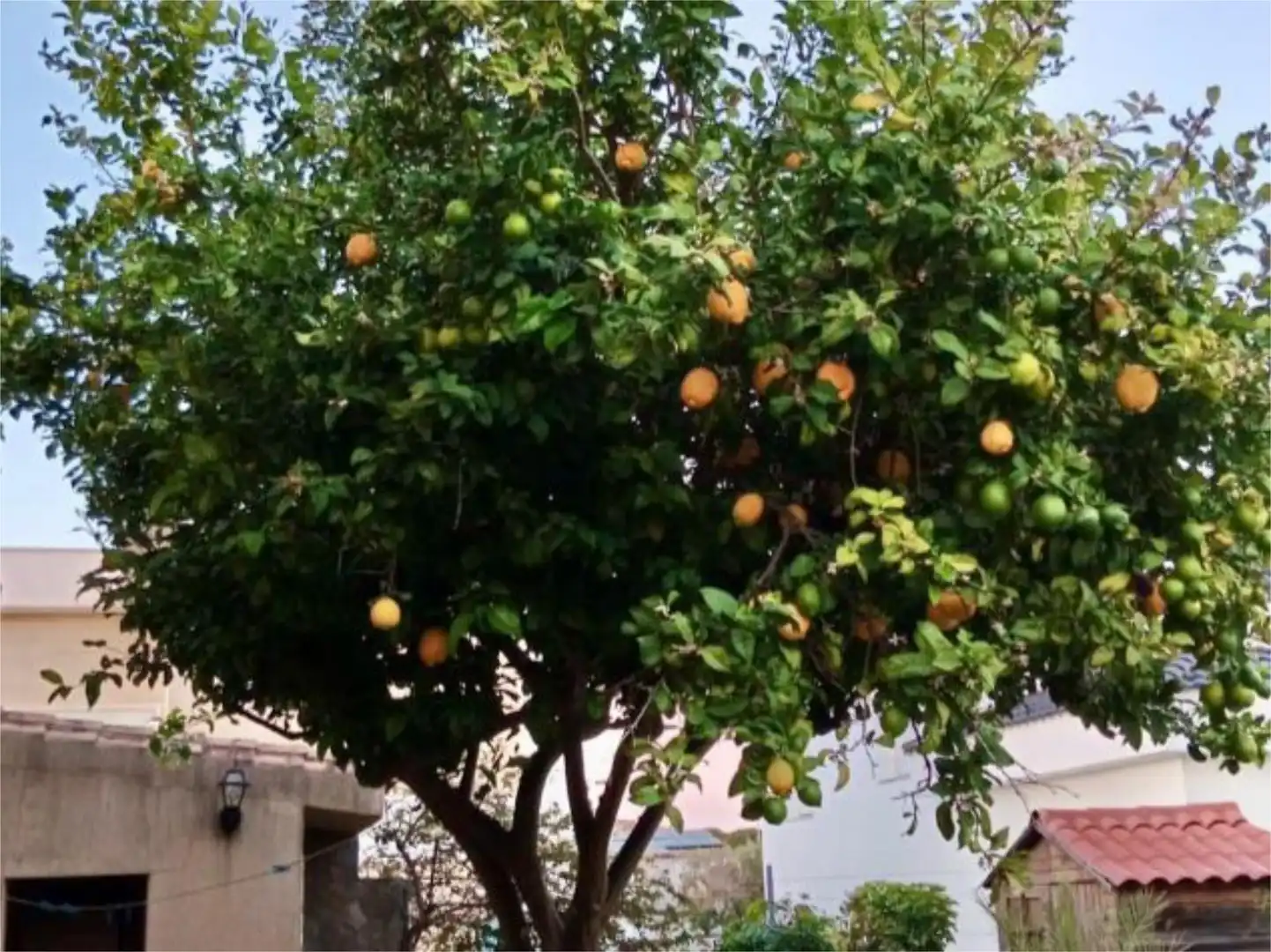 Jardí de Casa o xalet en venda en Jerez de la Frontera amb Aire condicionat, Calefacció i Jardí privat