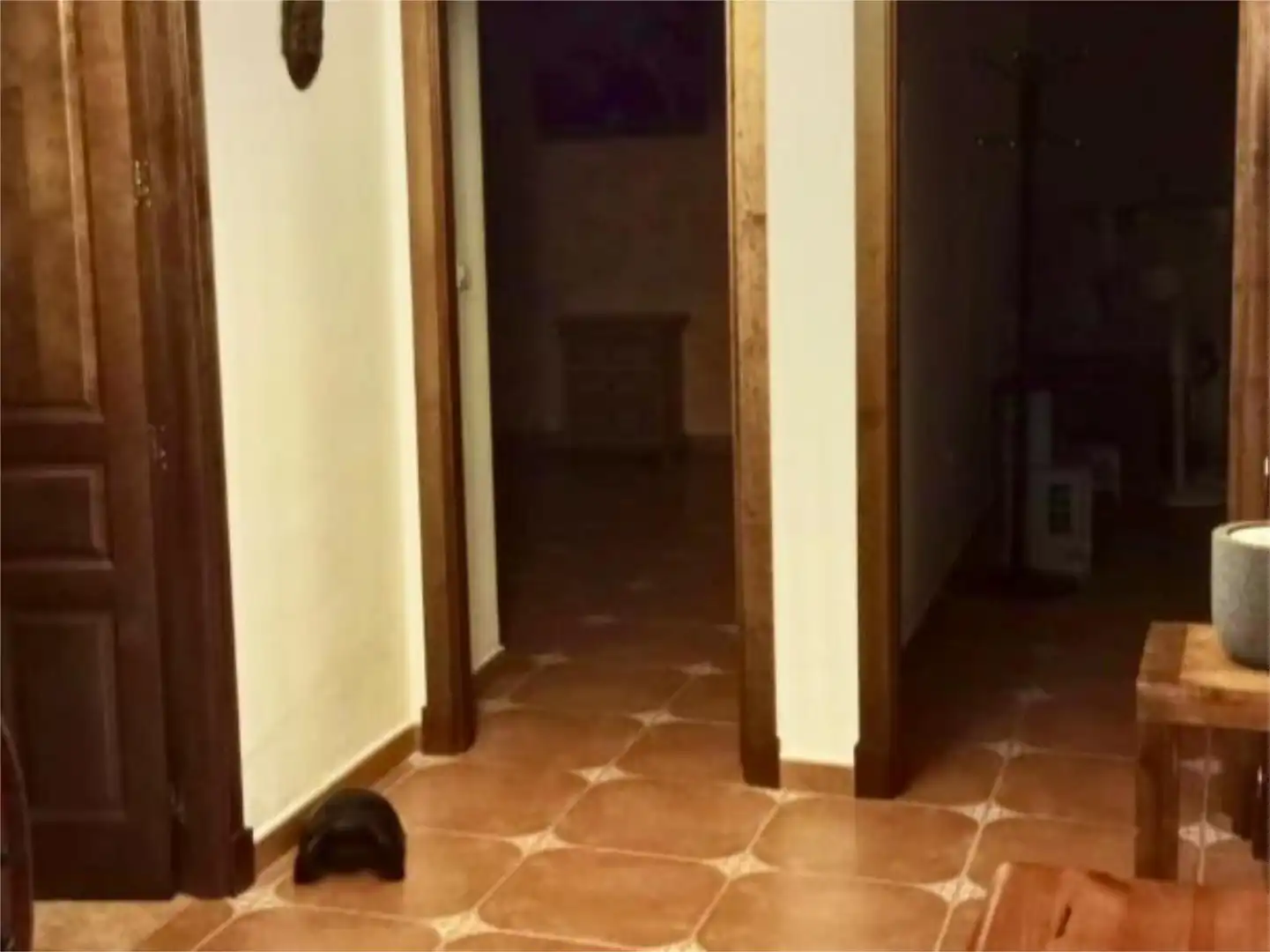 Casa o xalet en venda en Jerez de la Frontera amb Aire condicionat, Calefacció i Jardí privat