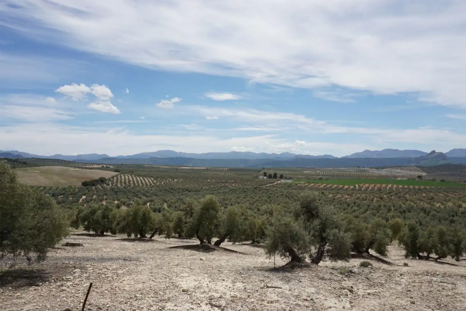 Finca rústica de lloguer en Archidona amb Calefacció, Jardí privat i Parquet