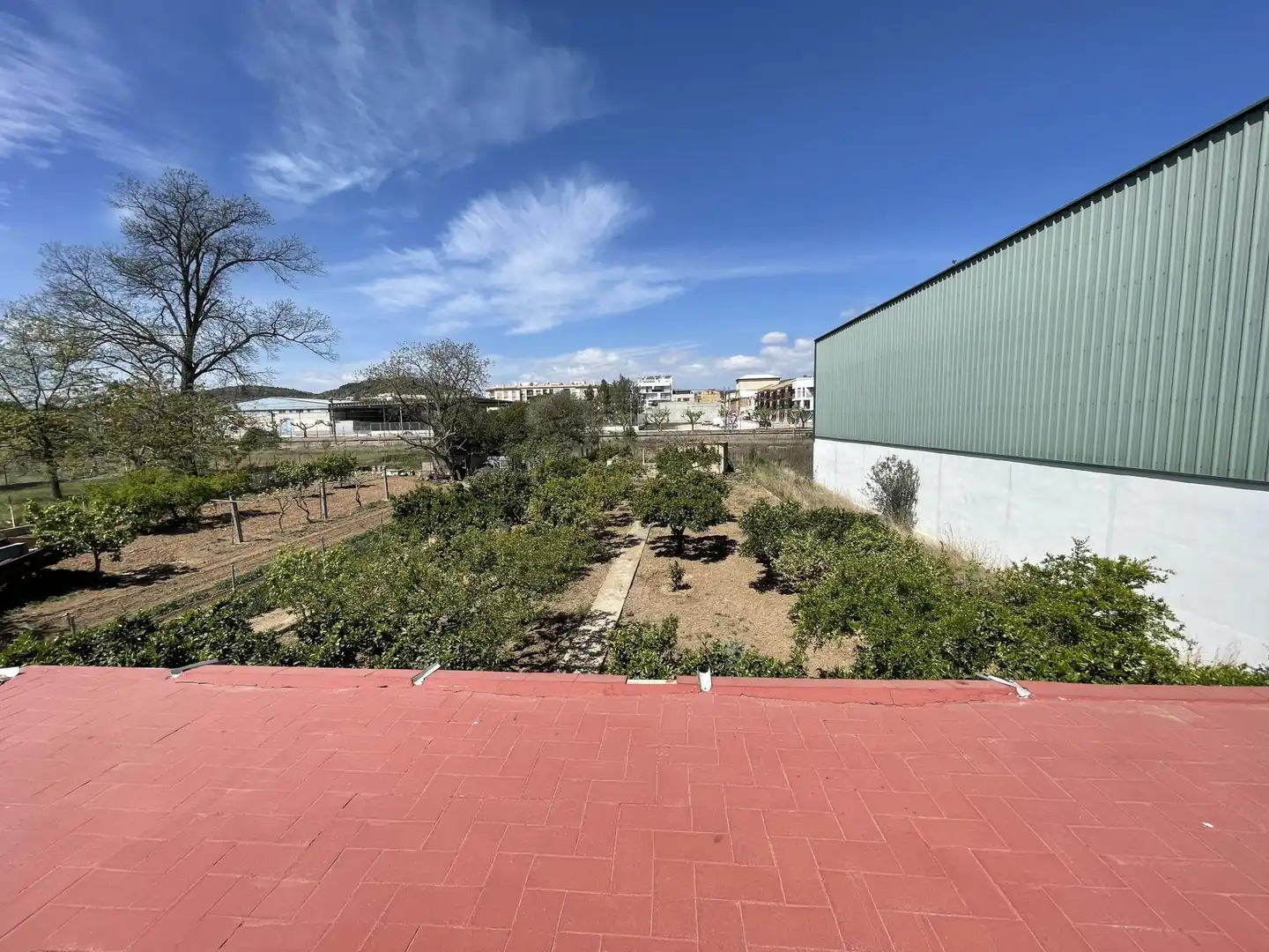Casa o xalet en venda a Passeig de la Via, 8, Ulldecona Casa o xalet en venda en Ulldecona amb Terrassa i Piscina