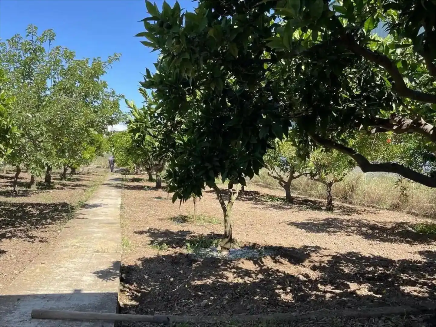 Casa o xalet en venda a Passeig de la Via, 8, Ulldecona Casa o xalet en venda en Ulldecona amb Terrassa i Piscina
