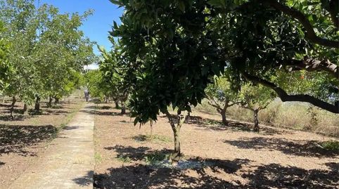 Foto 4 de Casa o chalet en venta en Passeig de la Via, 8, Ulldecona, Tarragona