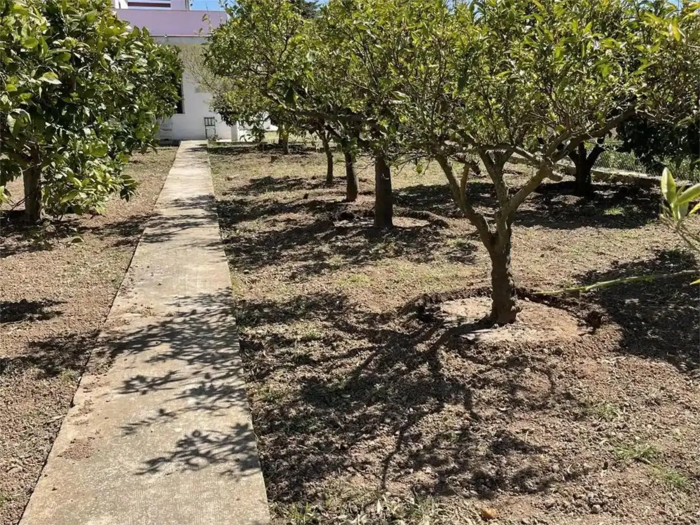 Casa o xalet en venda a Passeig de la Via, 8, Ulldecona Casa o xalet en venda en Ulldecona amb Terrassa i Piscina